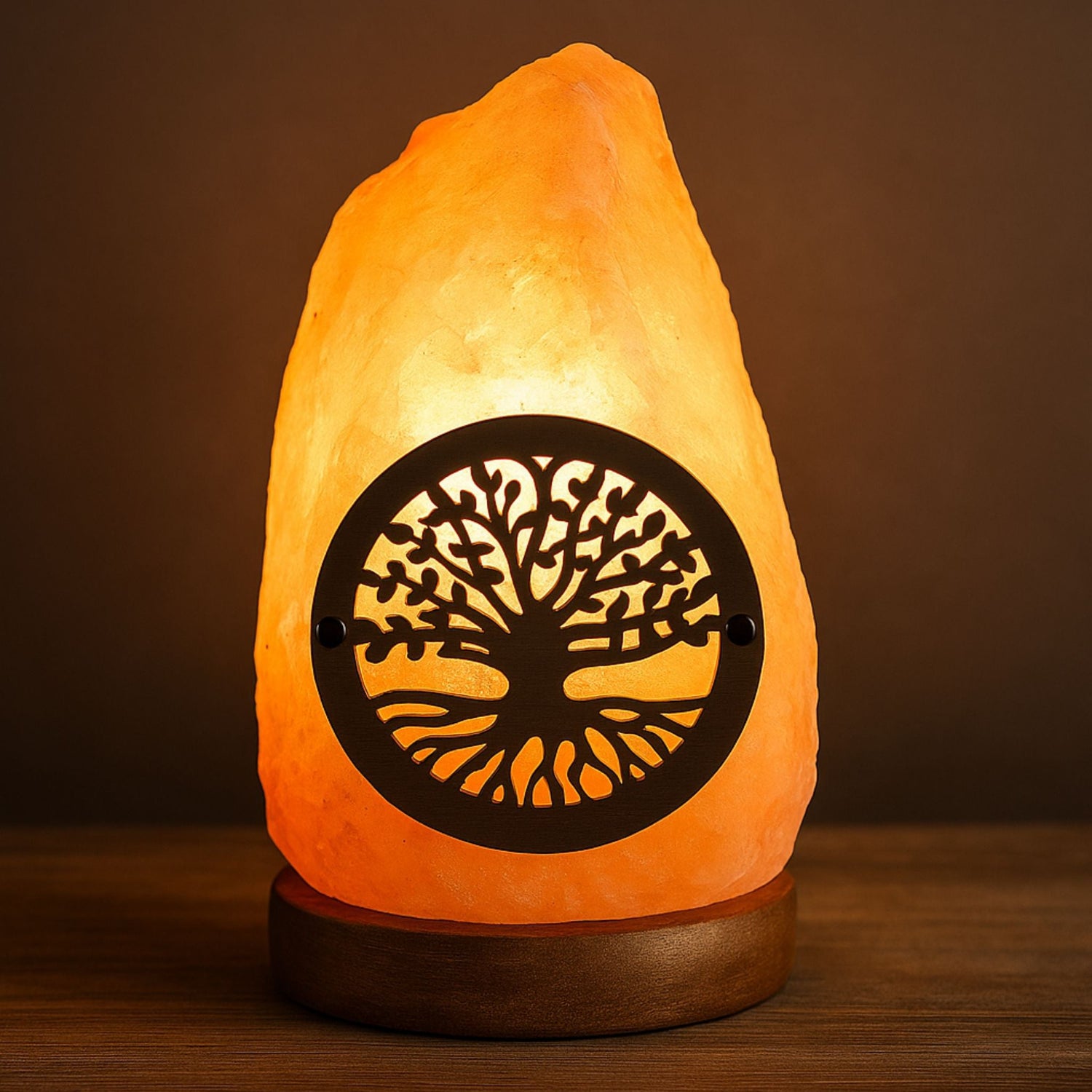 Lampes de Sel de l’Himalaya