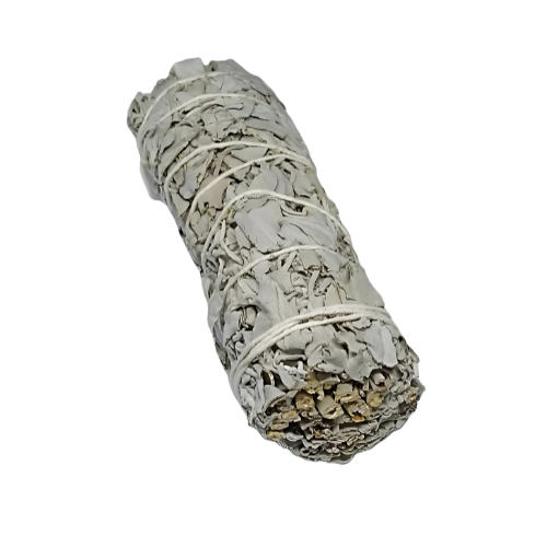 Sauge Blanche Apiana Californie Fagot 11cm 25-35g